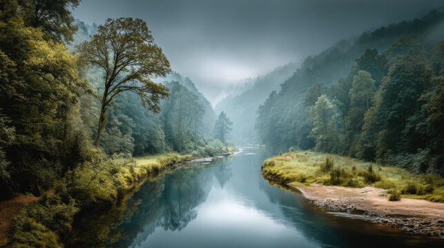 Foggy morning river winding through dense green forest