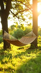 Hammock in a sunny garden