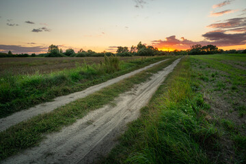 The dirt road into the sunset