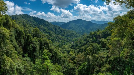 Fototapeta premium Expansive view of a vibrant tropical rainforest showcasing dense foliage and towering trees. The background features rolling mountains under a partly cloudy sky, creating a serene atmosphere.