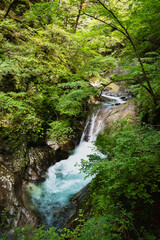 Obraz premium Nishizawa Gorge in Yamanashi Prefecture, in Japan. A famous location for hiking along the river and very popular during the autumn season.