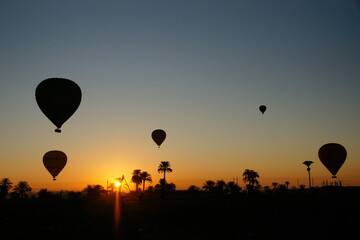 Hot Air Balloons Rise Over Egyptian Palm Trees at Sunrise, Silhouetted Against a Clear Sky