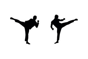 two martial artists practicing kicks in dynamic poses silhouette