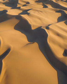 Aerial view of undulating sand dunes shimmering with golden light and casting deep shadows across the vast expanse of the desert landscape, Gobi Desert, &Atilde;&ndash;mn&Atilde;&para;govi, Mongolia.