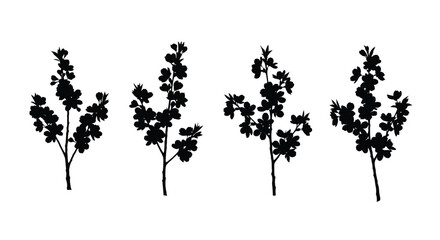 Naklejka premium Set of four black silhouettes of delicate floral branches with leaves and small blooms isolated vector