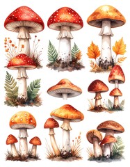 Watercolor mushrooms in autumnal setting