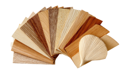 Wood veneer samples arranged in a fan-like display.  Various shades and grain patterns of wood are showcased