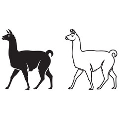 Defined Llama Silhouette & Llama Lineart – Llama Vector Graphic with Clear Livestock Form – Black Vector of Llama – Vector Set of Llama