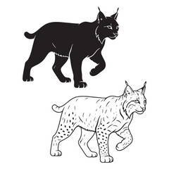 Strong Lynx Silhouette & Lynx Lineart – Lynx Vector Artwork with Distinctive Ear Tufts – Black Vector of Lynx – Vector Set of Lynx