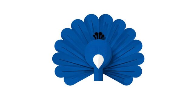 Blue peacock illustration graphic