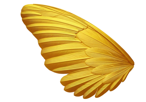 A detailed close-up of a golden wing, showcasing intricate feather detail against a stark black backdrop.