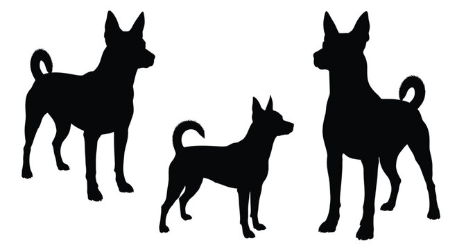 Silhouettes of three energetic small dogs standing alertly in profile vector