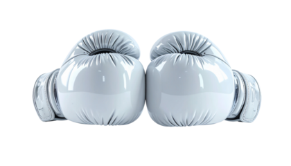Boxing gloves set, a symbol of strength and determination. The glossy material and meticulous details enhance the visual appeal
