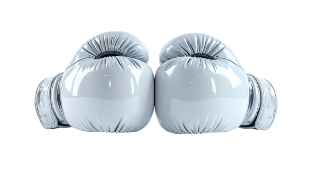 Boxing gloves set, a symbol of strength and determination. The glossy material and meticulous details enhance the visual appeal