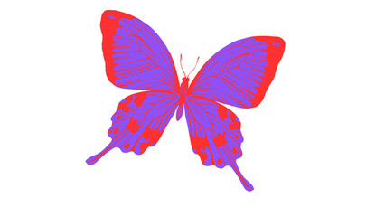 butterfly isolated on red