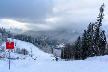 A ski slope with skiers surrounded by a winter forest