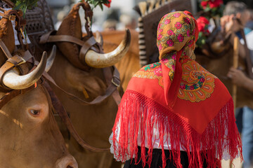 Feiras Novas 2025 - Cabe&ccedil;udos - Portugal