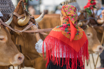 Feiras Novas 2025 - Cabe&ccedil;udos - Portugal