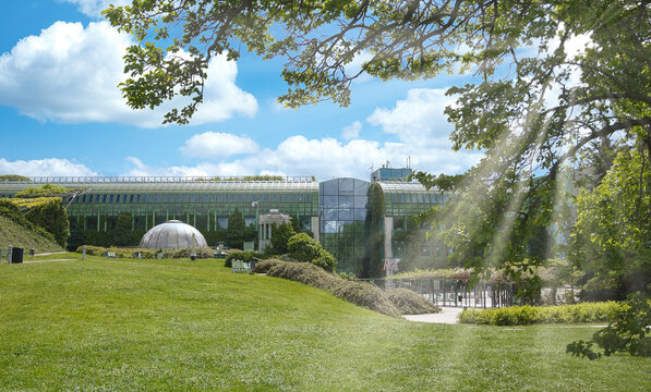 Nowoczesny budynek Biblioteki Uniwersytetu Warszawskiego w Warszawie. Charakterystyczna zielona fasada porośnięta roślinnością oraz taras ogrodowy na dachu, popularne miejsce spacer&oacute;w i rekreacji.