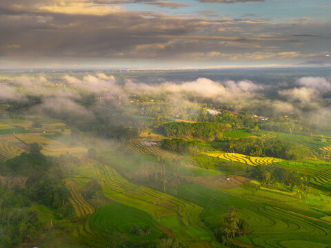Beautiful morning view indonesia panorama landscape paddy fields with beauty color and sky natural light