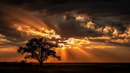 Naklejka premium Golden sunlight breaks through dark clouds at sunset, casting dramatic rays over a vast field. A solitary tree stands silhouetted against the colorful sky, creating a serene landscape.