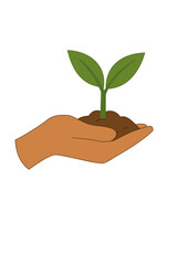 reforestation illustration