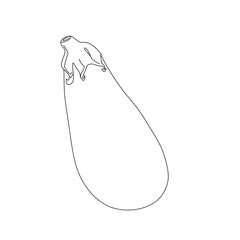 Eggplants  minimalism illustration of an background art 