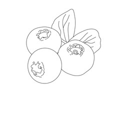 Eggplants  minimalism illustration of an background art 