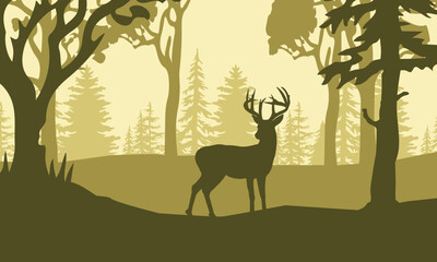 Wild deer standing in the forest and tree silhouette