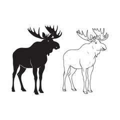 Refined Moose Silhouette & Moose Lineart – Moose Vector Artwork Featuring Clean Edge Design – Moose Illustration – Silhouette and Lineart Set of Moose