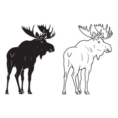 Stylized Moose Silhouette & Moose Lineart – Moose Vector Composition in Simplified Graphic Style – Moose Illustration – Silhouette and Lineart Set of Moose