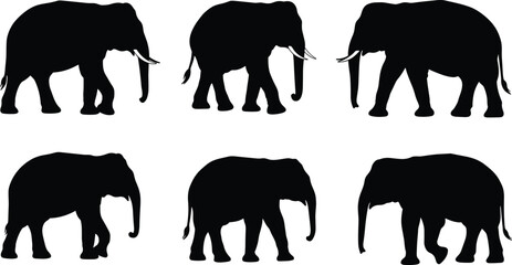 Set of six elephant silhouette vector illustrations in different walking poses, ideal for wildlife, safari, or nature-themed graphic design.