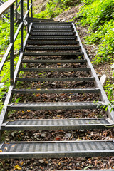 Metal staircase leads through lush green forest, surrounded by vibrant foliage , exploration and adventure in a serene outdoor environment, hiking and walking in nature