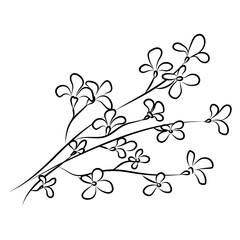 Line Illustration Element