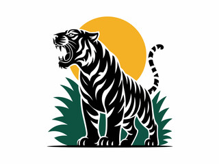 tiger on white background