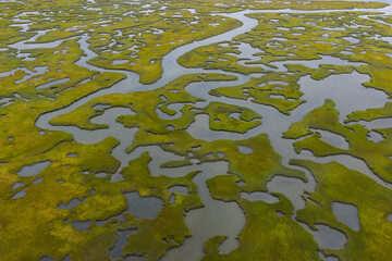 Sinuous channels meander through a beautiful salt marsh on Cape Cod, Massachusetts. These natural carbon sinks are sheltered nurseries for wildlife and act as a buffer against storms and waves.