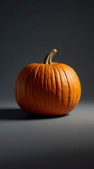 Single Perfect Pumpkin on Grey Background - Autumn Harvest Still Life Photography