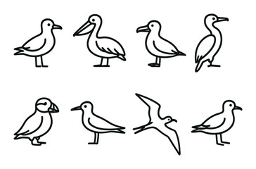 Outline illustrations of various bird species on a dark background
