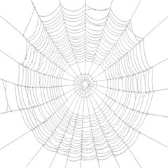 Intricate Dew-Kissed Spiderweb Design with Radial Patterns and Fine Silk Strands