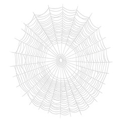 Obraz premium Intricate circular spider web illustration, a delicate and symmetrical natural design