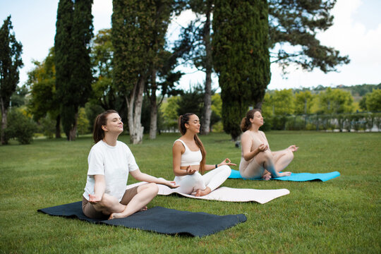 Group of diverse women having yoga class in park on green grass lawn. Active lifestyle.