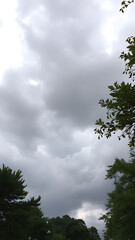 Obraz premium Dramatic overcast sky with approaching storm clouds and silhouetted green trees on a gloomy day