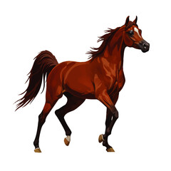 Obraz premium Elegant chestnut Arabian horse trotting gracefully, with a flowing mane and tail and a white facial blaze.