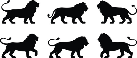 Collection of lion silhouette vector illustrations, wild jungle predator graphics, African wildlife big cat symbols, strong roaring animal artwork, nature mammal design set