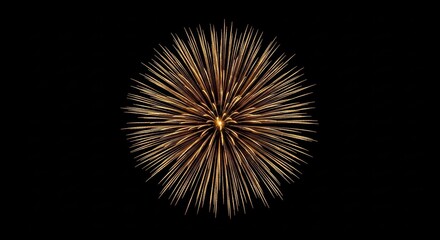 Obraz premium Golden firework burst on black background capturing celebration