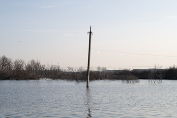 In early morning light, a utility pole stands partially submerged in a wide expanse of floodwater, with bare trees visible in the background. Calm water reflects the serene atmosphere