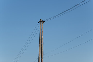 A tall utility pole reaches high with power lines stretching across the bright blue sky in a peaceful rural landscape during the afternoon hours