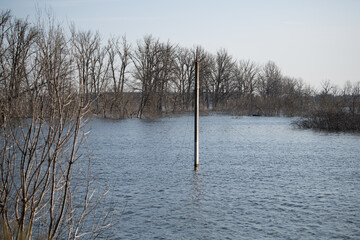 Water covers the ground in a rural area with bare trees lining the horizon. A lone utility pole stands in the middle of the flood, showcasing the extent of the water's reach
