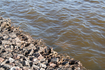 Water with a brownish tint softly touches a rocky shoreline, where stones are secured with a netting material, creating a tranquil riverside setting