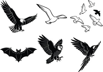 Flying animal illustration set, eagle, owl, bat, parrot, dove, bird flock icons, vector wildlife flight anatomy concept